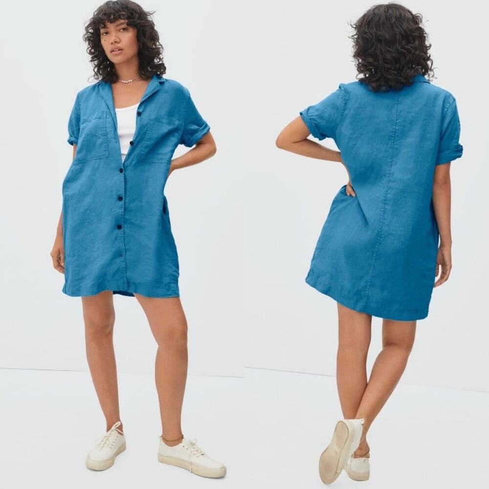 Everlane Blue Button-Front Mini Shirt Dress